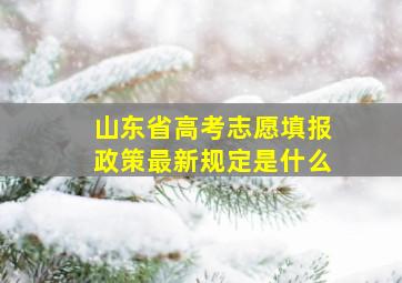 山东省高考志愿填报政策最新规定是什么