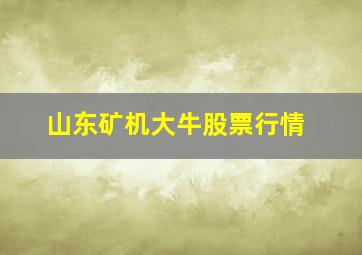 山东矿机大牛股票行情