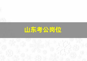 山东考公岗位