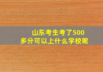 山东考生考了500多分可以上什么学校呢