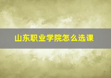 山东职业学院怎么选课