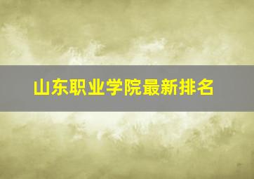 山东职业学院最新排名