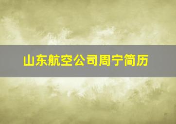 山东航空公司周宁简历