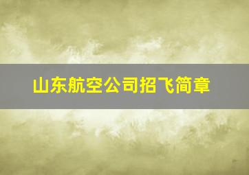 山东航空公司招飞简章