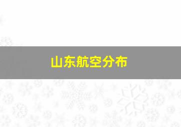 山东航空分布