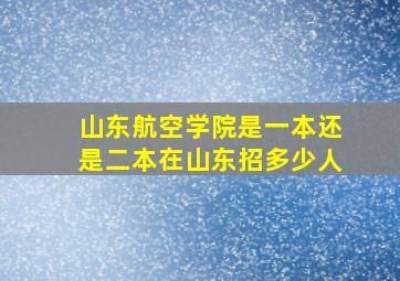 山东航空学院是一本还是二本在山东招多少人