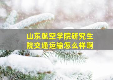 山东航空学院研究生院交通运输怎么样啊