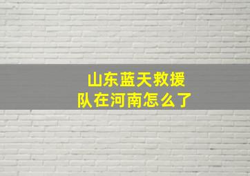 山东蓝天救援队在河南怎么了