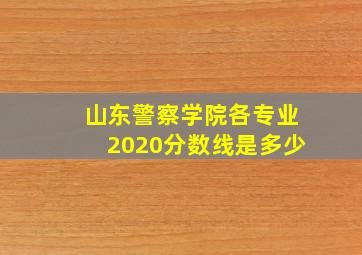 山东警察学院各专业2020分数线是多少