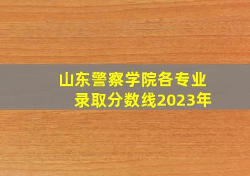 山东警察学院各专业录取分数线2023年