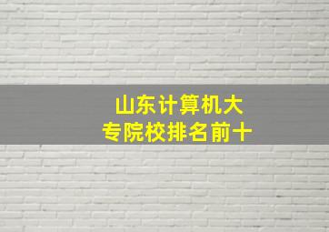 山东计算机大专院校排名前十