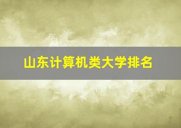 山东计算机类大学排名