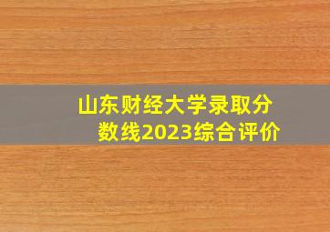 山东财经大学录取分数线2023综合评价