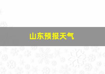 山东预报天气