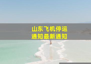 山东飞机停运通知最新通知