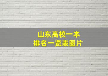 山东高校一本排名一览表图片