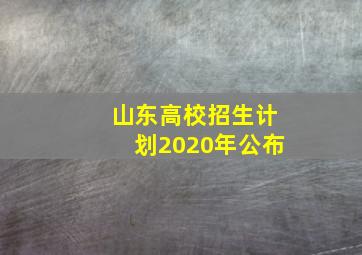 山东高校招生计划2020年公布