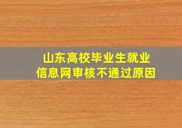 山东高校毕业生就业信息网审核不通过原因