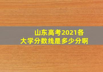 山东高考2021各大学分数线是多少分啊