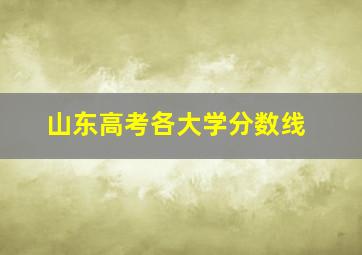 山东高考各大学分数线