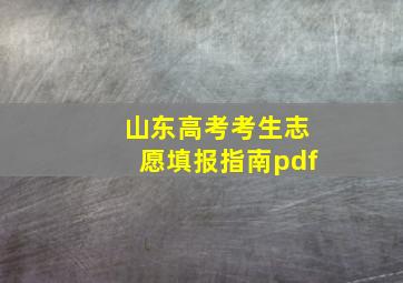 山东高考考生志愿填报指南pdf