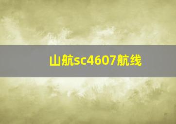 山航sc4607航线