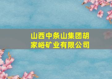 山西中条山集团胡家峪矿业有限公司