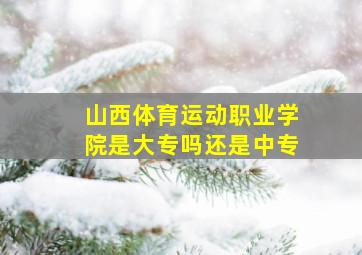 山西体育运动职业学院是大专吗还是中专