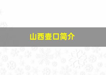 山西壶口简介