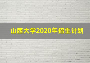 山西大学2020年招生计划