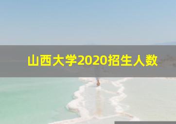 山西大学2020招生人数