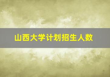 山西大学计划招生人数