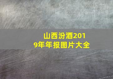 山西汾酒2019年年报图片大全