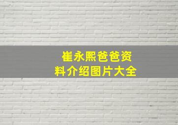 崔永熙爸爸资料介绍图片大全