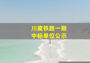 川藏铁路一期中标单位公示