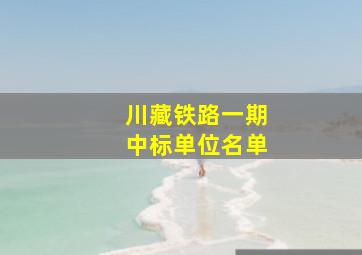 川藏铁路一期中标单位名单