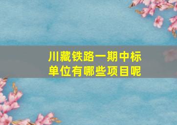 川藏铁路一期中标单位有哪些项目呢