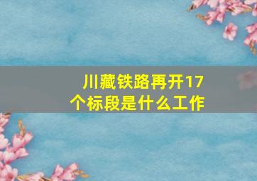 川藏铁路再开17个标段是什么工作