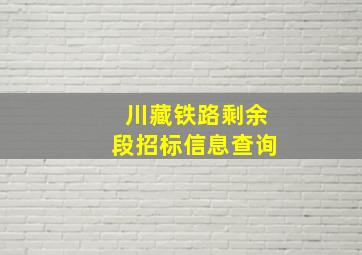 川藏铁路剩余段招标信息查询