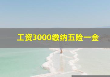 工资3000缴纳五险一金