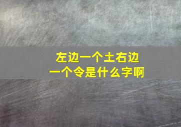 左边一个土右边一个令是什么字啊