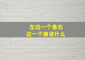 左边一个鱼右边一个庸读什么