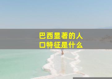 巴西显著的人口特征是什么