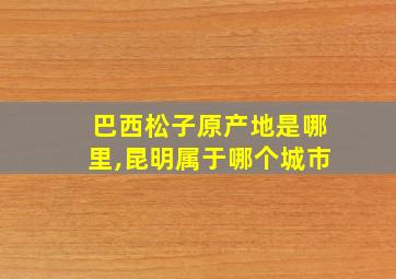 巴西松子原产地是哪里,昆明属于哪个城市