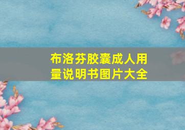 布洛芬胶囊成人用量说明书图片大全