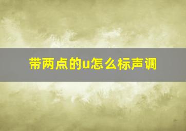 带两点的u怎么标声调