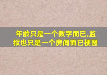 年龄只是一个数字而已,监狱也只是一个房间而已梗图