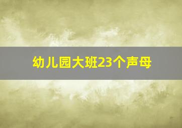 幼儿园大班23个声母