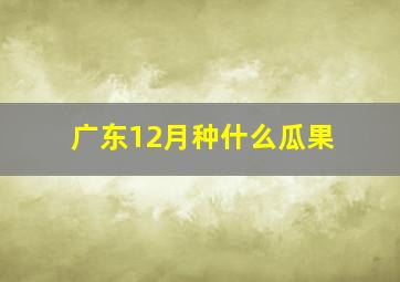 广东12月种什么瓜果