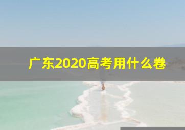 广东2020高考用什么卷